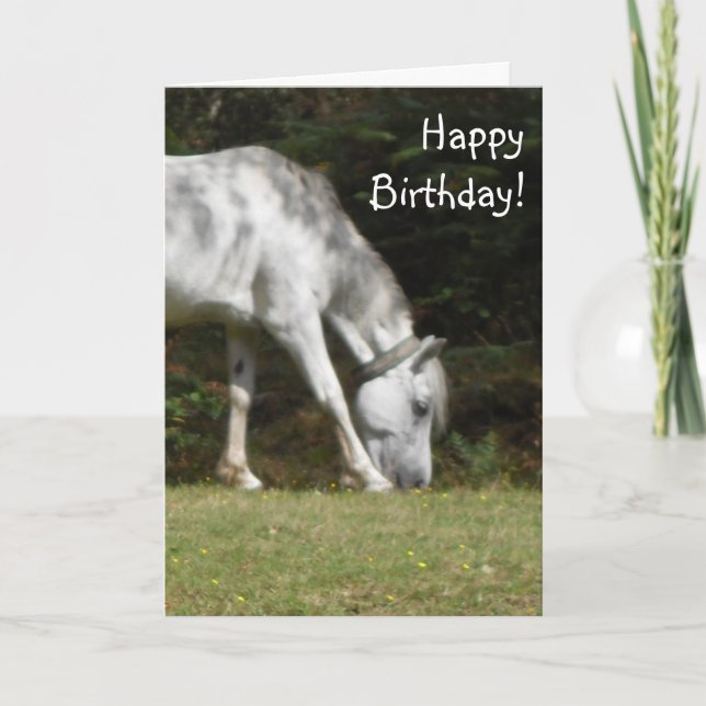 Cartão New Forest Pony Birthday (Frente)