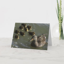 Cartão New York City Greeting Card