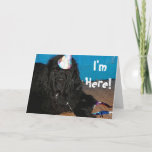 Cartão Newfoundland dog Birthday Card<br><div class="desc">Say Happy Birthday with a Newf!  There are no expressions to match this face!   Check out my Mug section with similar picture,  together they make a great gift! All products made in memory of Chance</div>