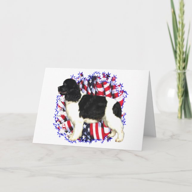 Cartão Newfoundland (landseer) Patriot (Frente)