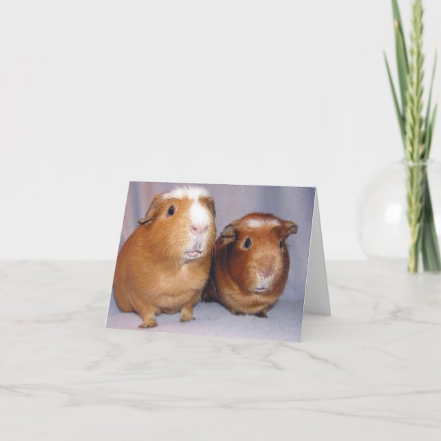 Cartão Newton and Skeeter Notecard (Frente)