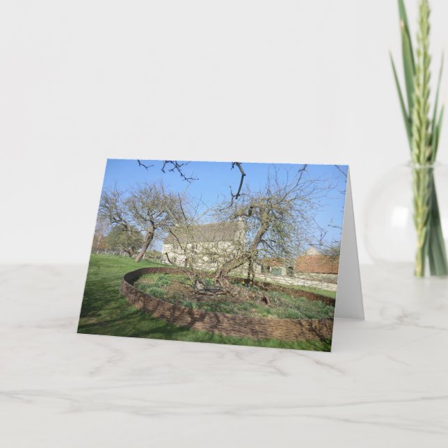 Cartão Newton's Tree at Woolthorpe Manor (Frente)