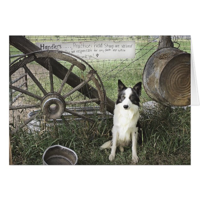 Cartão newtpraticefielddragonizer4x6 (Frente Horizontal)