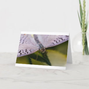 Cartão Nice to Meet You