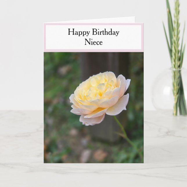 Cartão Niece Birthday Pastel Yellow Roses Pink Cupcake (Frente)