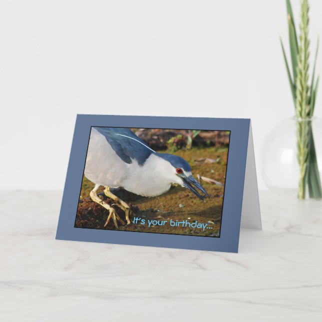 Cartão Night Heron Birthday (Frente)