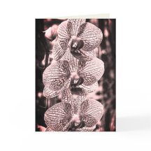 "Night Orchids" Folded Greeting Card