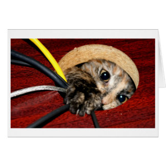 Cartão Ninfoma de mesa