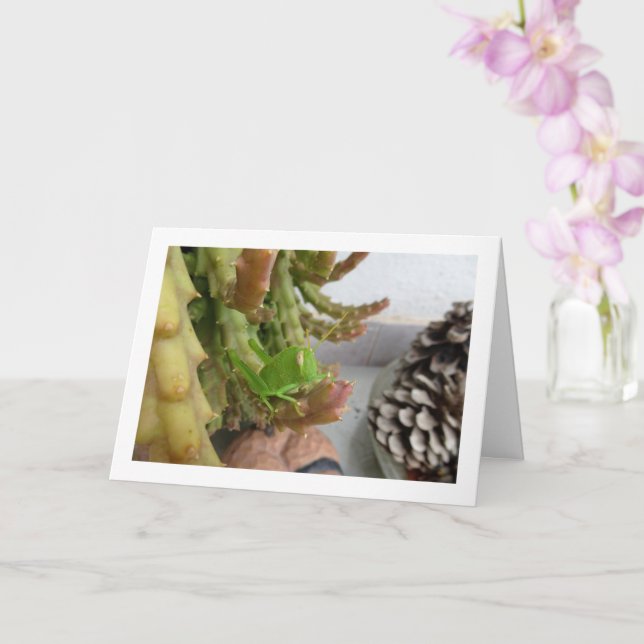 Cartão Ninfoma Gafanhoto Egípcio na Planta de Carrion Cac (Orquídea)