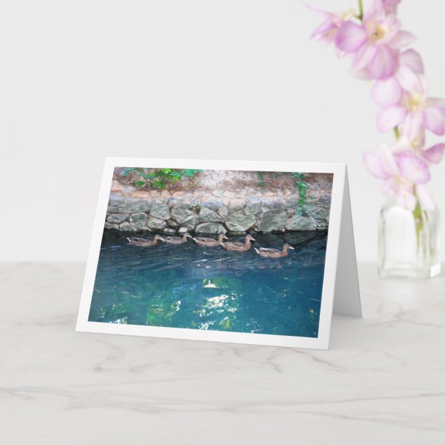 Cartão Ninhada de Patos em Água Azul Majestosa (Orquídea)