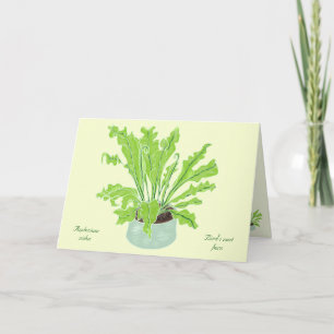 Cartão Ninho de Asplenium Bird - desenhando em amarelo.