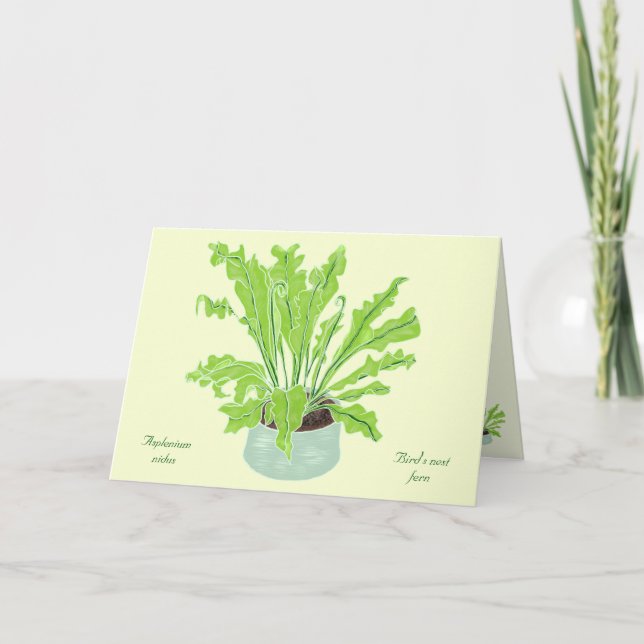 Cartão Ninho de Asplenium Bird - desenhando em amarelo. (Frente)
