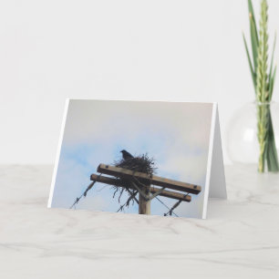 Cartão Ninho de Corvos em Ak