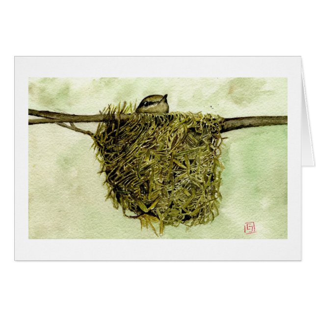 Cartão Ninho do Parula do norte (Frente Horizontal)