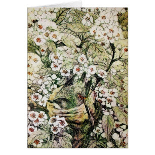 CARTÃO NINHO DO PÁSSARO, ÁRVORE COM AS FLORES BRANCAS