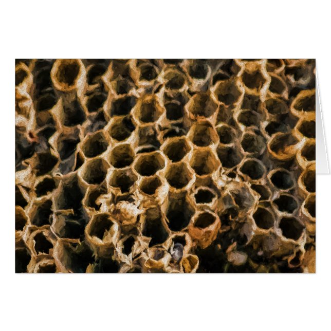 Cartão Ninho vazio (Frente Horizontal)