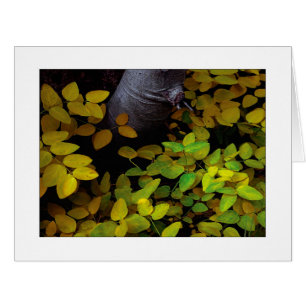 Cartão "Nível inferior de folha"