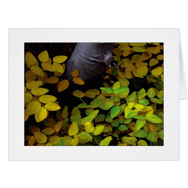 Cartão "Nível inferior de folha" (Frente horizontal)