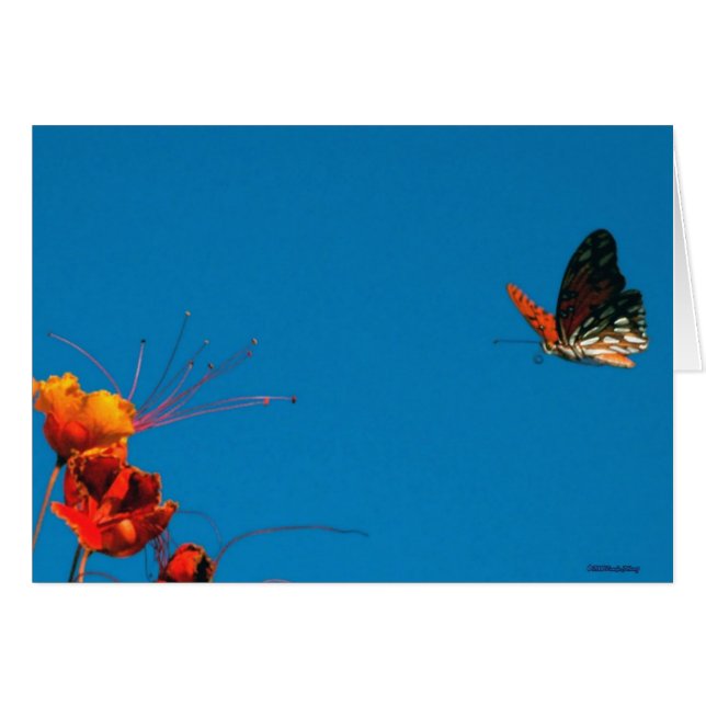 Cartão No 2 de novembro de 06 FINAL CURTO 3 (Frente horizontal)