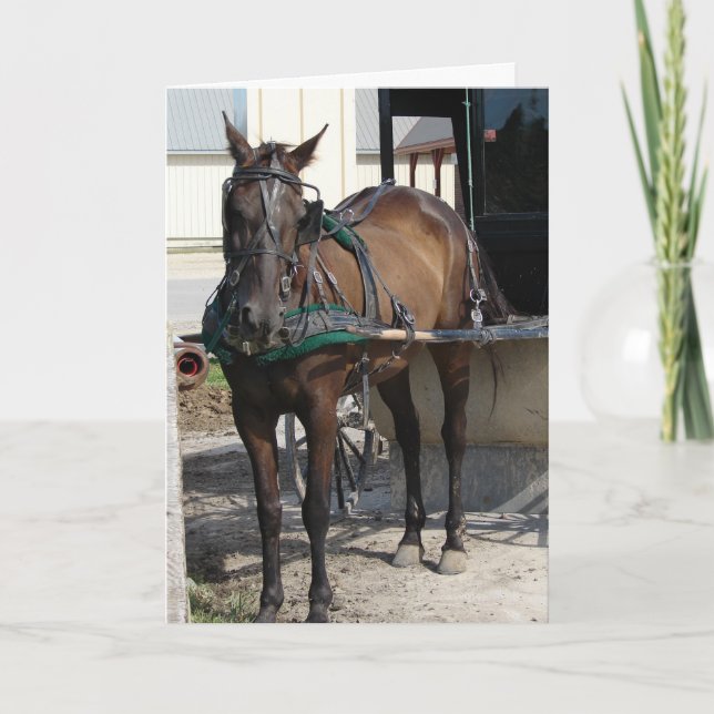 Cartão No aniversário do Posto Hitching (Frente)