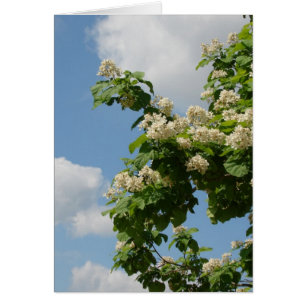 Cartão No Bloom de Cheio