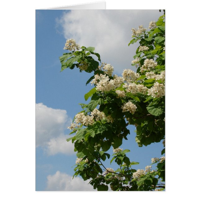 Cartão No Bloom de Cheio (Frente)