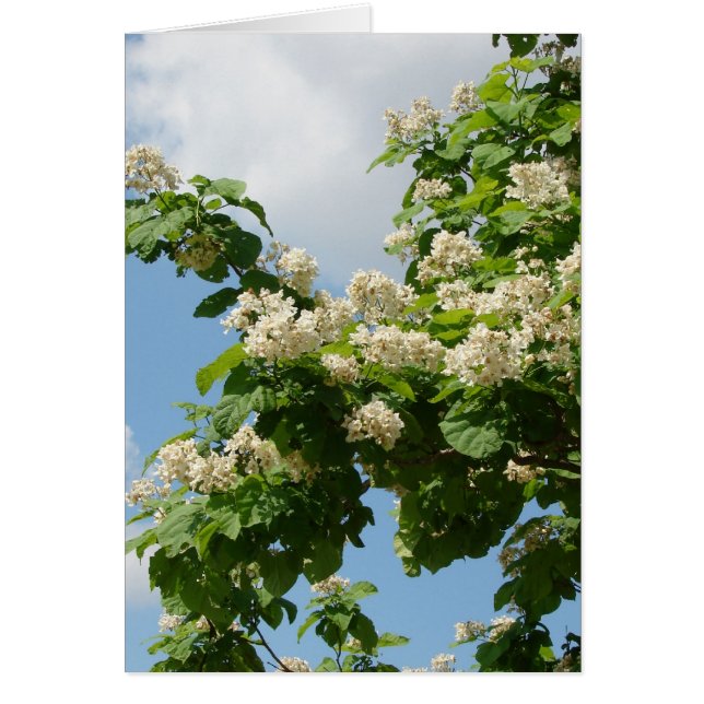 Cartão No Bloom de Cheio (Frente)