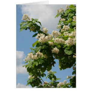 Cartão No Bloom de Cheio