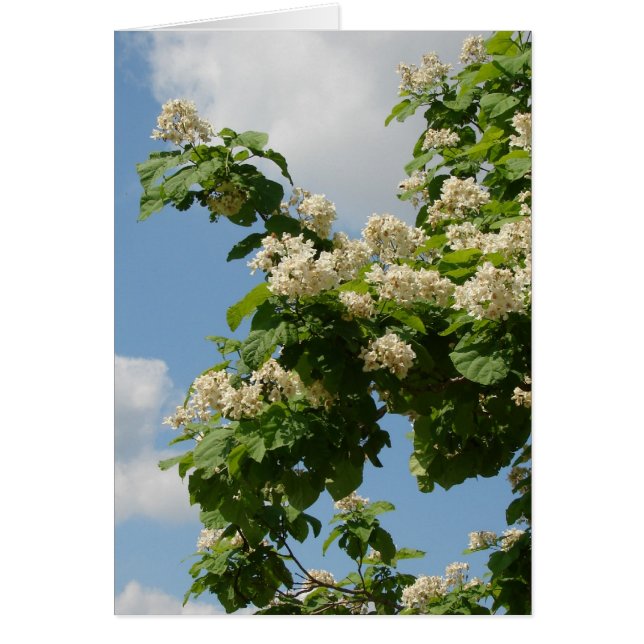 Cartão No Bloom de Cheio (Frente)