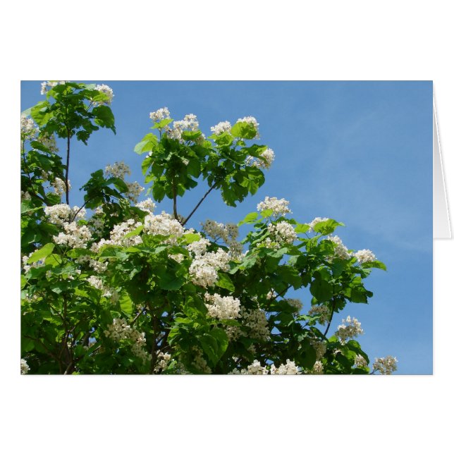 Cartão No Bloom de Cheio (Frente Horizontal)