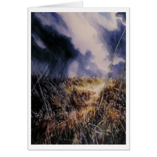 Cartão No Campo