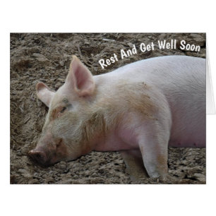 CARTÃO NO DIA EM QUE VOLTAR, ESTAREMOS EM HOG HEA