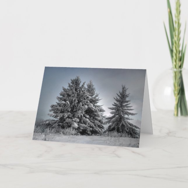 Cartão No Espírito Do inverno (Frente)