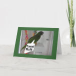 CARTÃO NO FACEBOOK/EMAIL TWEET HAPPY BIRTHDAY MOM<br><div class="desc">THIS PARAKEET WON'T USE EMAIL OR FACEBOOK... HE "TWEETS" HIS MOM "HAPPY BIRTHDAY!"</div>