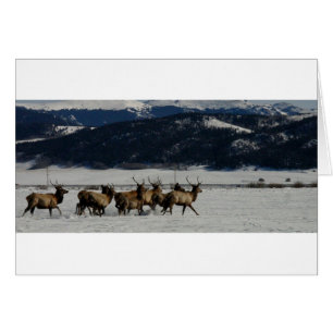 Cartão No funcionamento