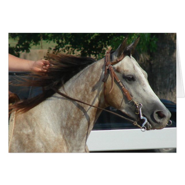 Cartão No Horse Show (Frente Horizontal)