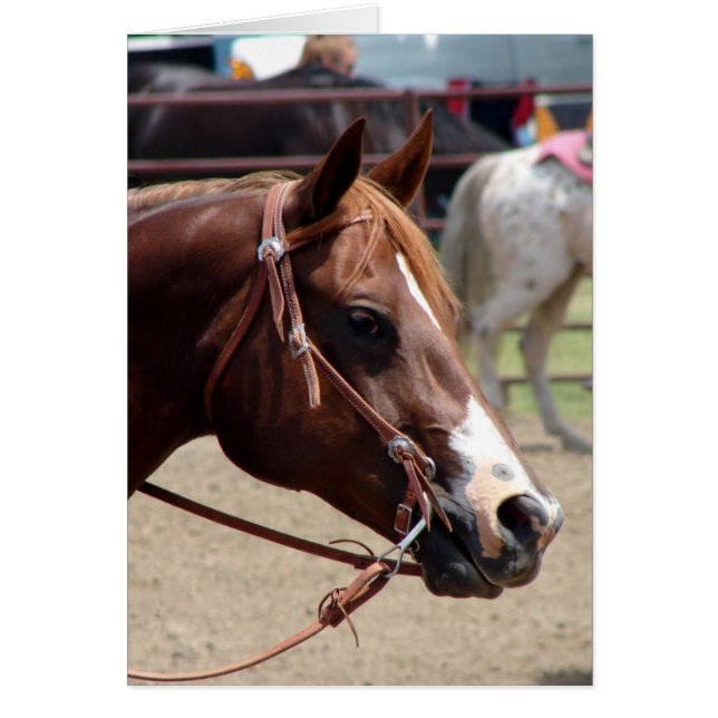 Cartão No Horse Show (Frente)