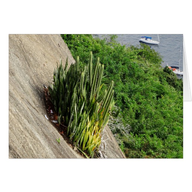 Cartão No Pão de Açúcar (Frente Horizontal)