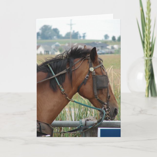 Cartão No Posto Hitching (Frente)