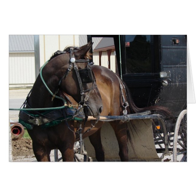 Cartão No Posto Hitching (Frente Horizontal)