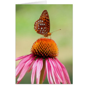 Cartão No Topo - Borboleta Fritilar