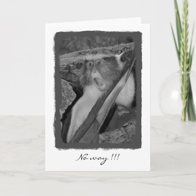 Cartão No way, Birthday! (Frente)