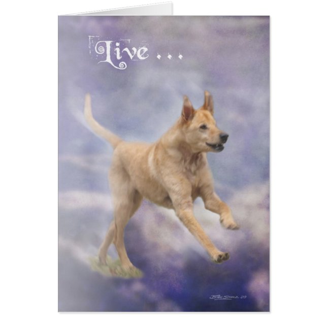 Cartão Nobre (Frente)