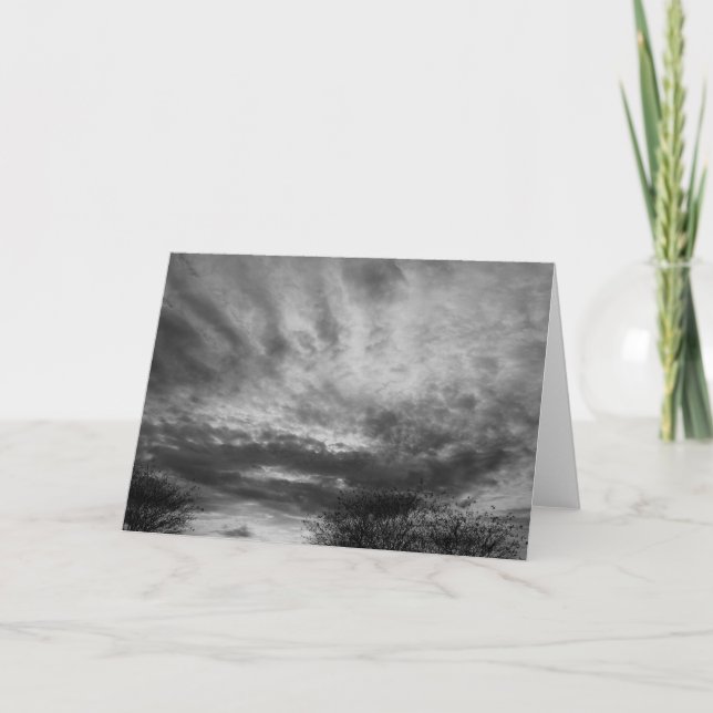 Cartão Noite Cai / Noir (Frente)