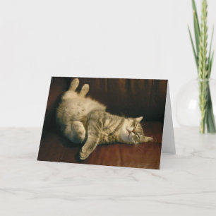 Cartão Noite de gato - no extremo