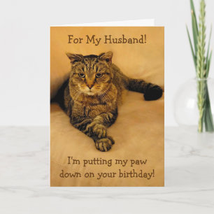 Cartão Noite de Marido Gato Engraçado