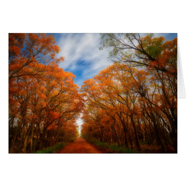 Cartão Noite do outono (Frente Horizontal)