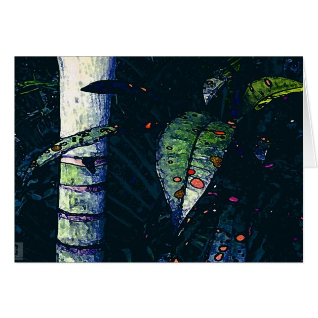 Cartão Noite tropical (Frente Horizontal)