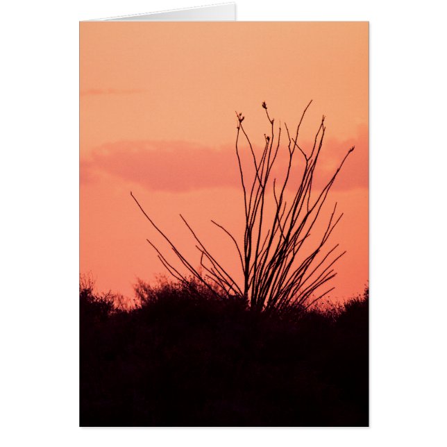 Cartão Noites no deserto (Frente)