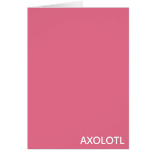 Cartão Nome de cor rosa Axolotl